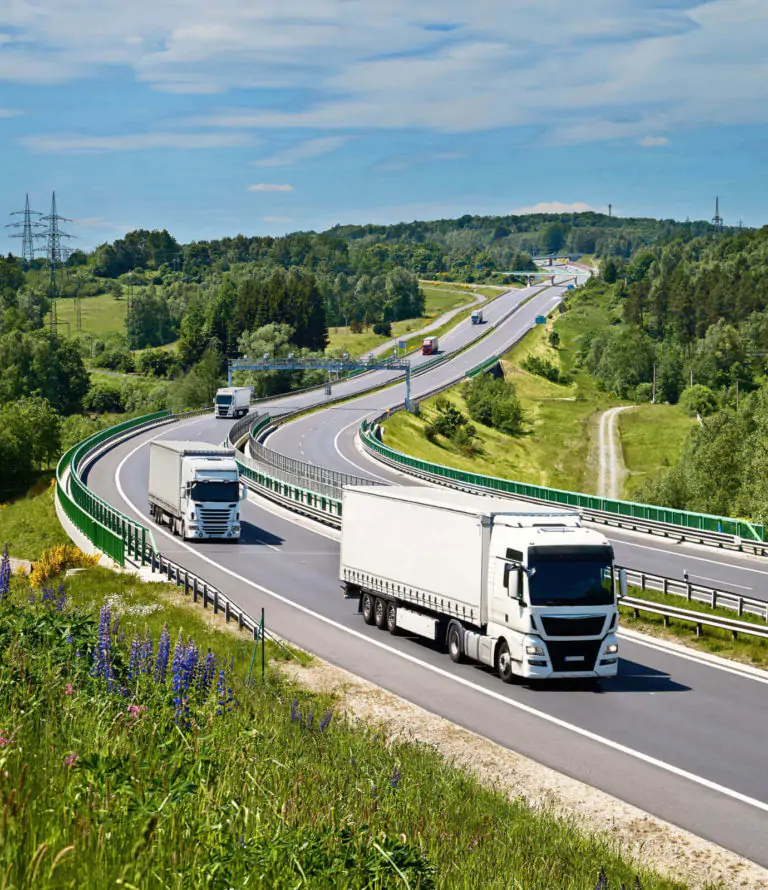 customs procedure codes | OceanBlue Logistics